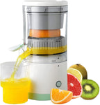 Electric Automatic Fruit Juicer